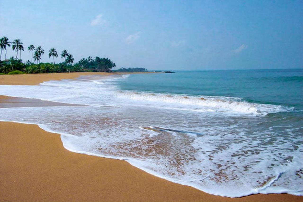 Bohemian Hotel - Negombo Kurana Katunayaka Екстер'єр фото